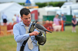 Preston Steam Rally 2014 041